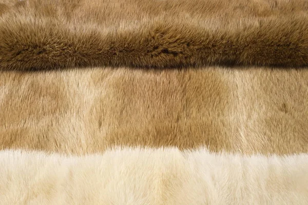 Tekstur, baggrund. minkpels. Mink frakke. Guld farve mink pels. a. - Stock-foto