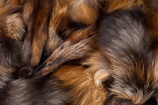 纹理背景。毛皮狐狸。狗发食肉哺乳动物 — 图库照片