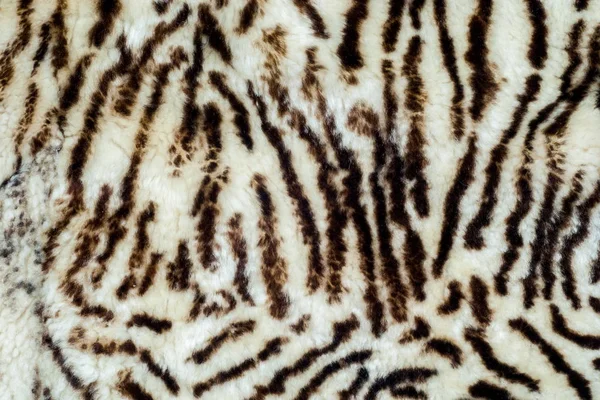 Background, Texture. sheepskin, lambskin, sheep, budge. a sheep\'s skin with the wool on, especially when made into a garment or rug.