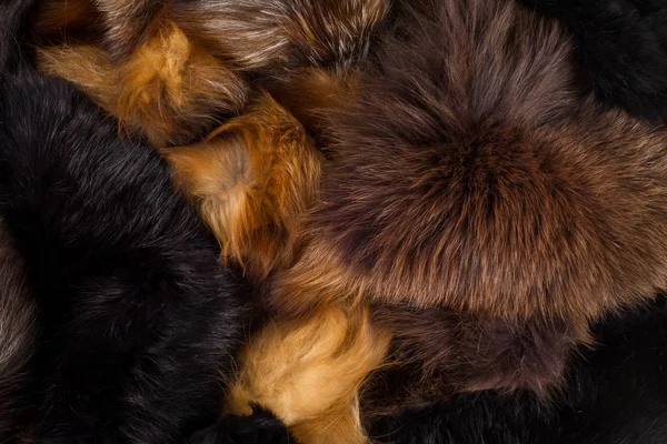 Textura, fundo. Raposa de pele. um mamífero carnívoro do cão fa — Fotografia de Stock