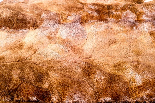 Texture, background. mink brown — Stock Photo, Image