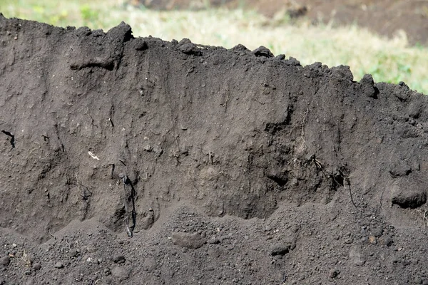 Texture, background.  the soil. the upper layer of earth in which plants grow, a black or dark brown material. ground, land, earth, bedrock, dirt