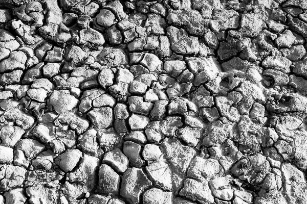 Textura Sal Tierra Sequía Sol Brillante Crearon Grietas Suelo — Foto de Stock