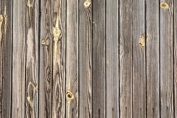 Textura de madeira — Fotografia de Stock