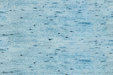 Doku, arka plan, seamless modeli. Bu tasarımcıları için yararlı olur. yağmur suyu. Su damlaları şeklinde yağış.