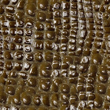 Sorunsuz doku, desen. Timsah derisi. Yeşil Kahverengi cilt yardım