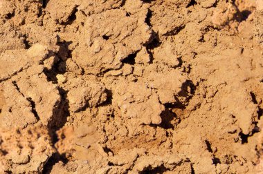 Doku, arka plan, kusursuz desen. Bu tasarımcılar için yararlı. Toprakta bir çatlak, kuraklık, güneş. Su yokluğu. Yüzeydeki dar oluğu kes.