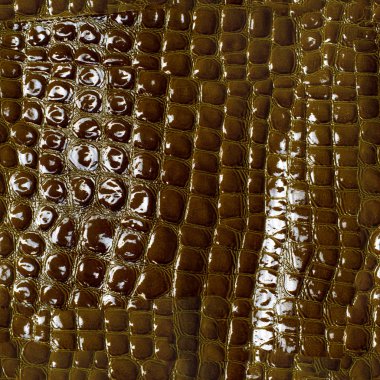 Sorunsuz doku, desen. Timsah derisi. Yeşil Kahverengi cilt yardım