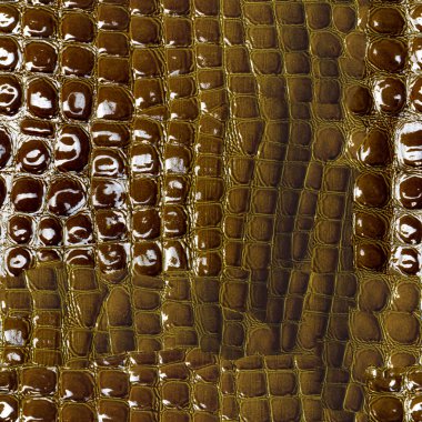 Sorunsuz doku, desen. Timsah derisi. Yeşil Kahverengi cilt yardım