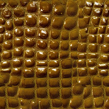 Sorunsuz doku, desen. Timsah derisi. Yeşil Kahverengi cilt yardım