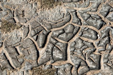 Doku, arka plan, seamless modeli. Bu tasarım için yararlıdır