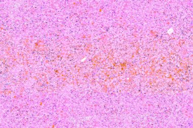 Sorunsuz doku, arka plan, granit taş cilalı. çok katı, taneli, kristal, Magmatik rock ağırlıklı olarak kuvars, mika ve feldspat oluşur ve genellikle bir yapı taşı olarak kullanılır.