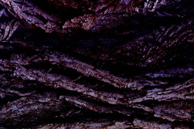 Doku, arka plan, desen. Ağaç kabuğu. Dışarıda, kereste, Mayo, parçası kaynaklanıyor ve odunsu bitkilerin kökleri.