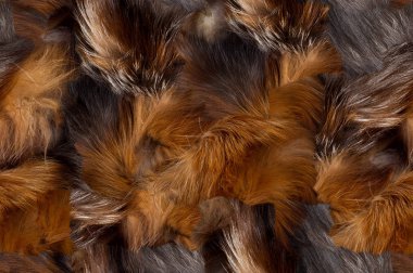 Doku, arka plan, seamless modeli. Bu tasarımcıları için yararlı olur. Fox hayvan kürk. Etçil memeli aile. Uzun tüylü kuyruğu ve onun kürk ile köpek.