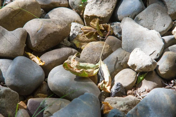 鹅卵石 由水或沙子的作用使光滑和圆形的小石头 — 图库照片