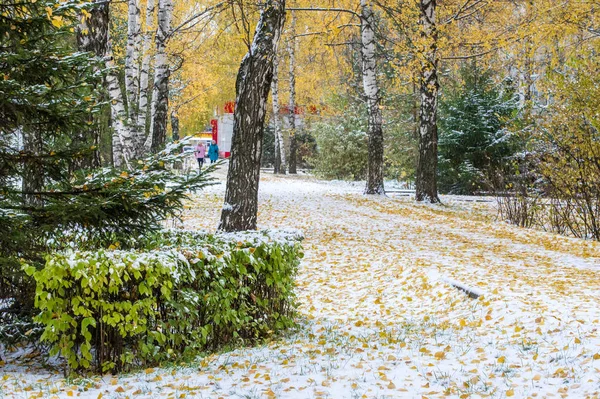 葉は秋をバーチします クリスマスの木の枝 最初の雪 — ストック写真
