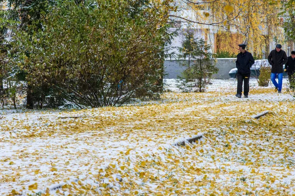 Deixa Bétula Outono Ramo Uma Árvore Natal Primeira Neve — Fotografia de Stock