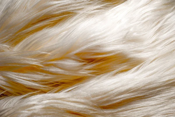 Textura Fundo Padrão Iaque Branco Pele Grande Boi Selvagem Domesticado — Fotografia de Stock