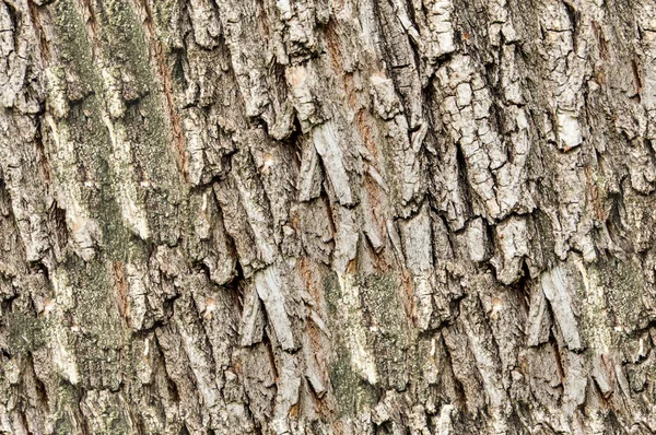 Textura Fundo Padrão Sem Costura Isso Útil Para Designers Latido — Fotografia de Stock