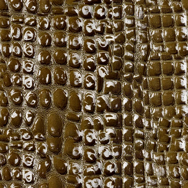 Textura Sin Costuras Patrón Piel Cocodrilo Alivio Piel Marrón Verde —  Fotos de Stock