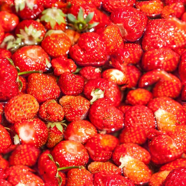 Padrão Textura Sem Costura Morango Planta Com Bagas Rosadas Vermelhas — Fotografia de Stock