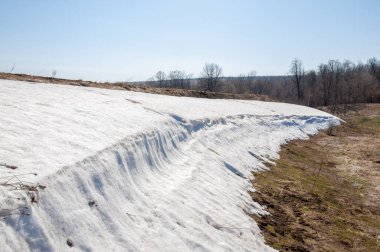 Bahar peyzaj, tenha yerlerde son kar. Parlak güneş kar erir. Yeşil çam. Yaprak döken ağaçların yaprakları olmadan. Kar suyu eritebilir. Geçen yılki çim sarı.