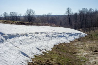 Bahar peyzaj, tenha yerlerde son kar. Parlak güneş kar erir. Yeşil çam. Yaprak döken ağaçların yaprakları olmadan. Kar suyu eritebilir. Geçen yılki çim sarı.