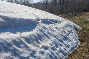 Bahar peyzaj, tenha yerlerde son kar. Parlak güneş kar erir. Yeşil çam. Yaprak döken ağaçların yaprakları olmadan. Kar suyu eritebilir. Geçen yılki çim sarı.