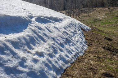 Bahar peyzaj, tenha yerlerde son kar. Parlak güneş kar erir. Yeşil çam. Yaprak döken ağaçların yaprakları olmadan. Kar suyu eritebilir. Geçen yılki çim sarı.