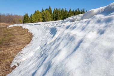 Bahar peyzaj, tenha yerlerde son kar. Parlak güneş kar erir. Yeşil çam. Yaprak döken ağaçların yaprakları olmadan. Kar suyu eritebilir. Geçen yılki çim sarı.