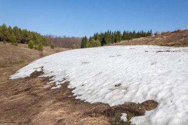 Bahar peyzaj, tenha yerlerde son kar. Parlak güneş kar erir. Yeşil çam. Yaprak döken ağaçların yaprakları olmadan. Kar suyu eritebilir. Geçen yılki çim sarı.