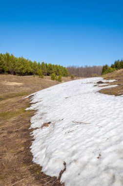 Bahar peyzaj, tenha yerlerde son kar. Parlak güneş kar erir. Yeşil çam. Yaprak döken ağaçların yaprakları olmadan. Kar suyu eritebilir. Geçen yılki çim sarı.