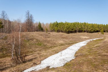 Bahar peyzaj, tenha yerlerde son kar. Parlak güneş kar erir. Yeşil çam. Yaprak döken ağaçların yaprakları olmadan. Kar suyu eritebilir. Geçen yılki çim sarı.