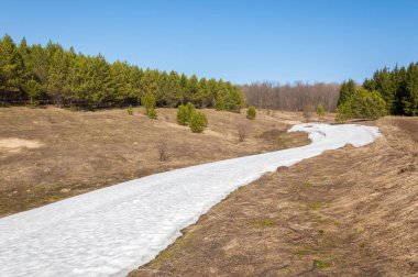 Bahar peyzaj, tenha yerlerde son kar. Parlak güneş kar erir. Yeşil çam. Yaprak döken ağaçların yaprakları olmadan. Kar suyu eritebilir. Geçen yılki çim sarı.
