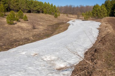 Bahar peyzaj, tenha yerlerde son kar. Parlak güneş kar erir. Yeşil çam. Yaprak döken ağaçların yaprakları olmadan. Kar suyu eritebilir. Geçen yılki çim sarı.