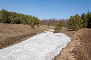 Bahar peyzaj, tenha yerlerde son kar. Parlak güneş kar erir. Yeşil çam. Yaprak döken ağaçların yaprakları olmadan. Kar suyu eritebilir. Geçen yılki çim sarı.