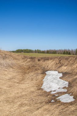 Bahar peyzaj, tenha yerlerde son kar. Parlak güneş kar erir. Yeşil çam. Yaprak döken ağaçların yaprakları olmadan. Kar suyu eritebilir. Geçen yılki çim sarı.