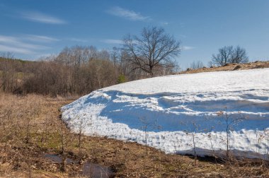 Bahar peyzaj, tenha yerlerde son kar. Parlak güneş kar erir. Yeşil çam. Yaprak döken ağaçların yaprakları olmadan. Kar suyu eritebilir. Geçen yılki çim sarı.