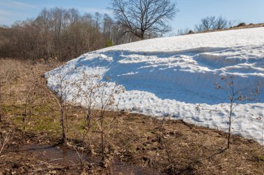 Bahar peyzaj, tenha yerlerde son kar. Parlak güneş kar erir. Yeşil çam. Yaprak döken ağaçların yaprakları olmadan. Kar suyu eritebilir. Geçen yılki çim sarı.