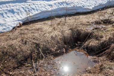 Bahar peyzaj, tenha yerlerde son kar. Parlak güneş kar erir. Yeşil çam. Yaprak döken ağaçların yaprakları olmadan. Kar suyu eritebilir. Geçen yılki çim sarı.