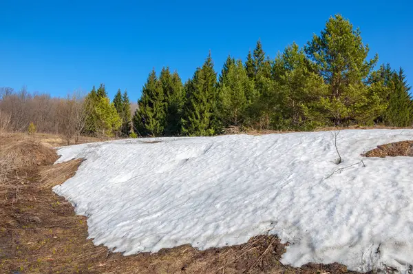Wiosenny Krajobraz Ostatni Śnieg Zaciszne Miejsca Jasne Słońce Topi Się — Zdjęcie stockowe
