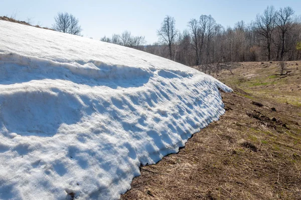 Spring Landscape Last Snow Secluded Places Bright Sun Melts Snow — Stock Photo, Image