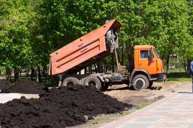 Araba Damper flowerbed Şehir Parkı içinde siyah yeryüzünde kaldırır