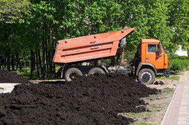 Araba Damper flowerbed Şehir Parkı içinde siyah yeryüzünde kaldırır