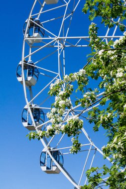 Şehir Parkı içinde dönme dolap. Kırmızı Dev dönme dolap ile berrak mavi gökyüzünün yarısı. Büyük vintage dalgalanmalar 