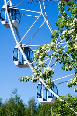 Şehir Parkı içinde dönme dolap. Kırmızı Dev dönme dolap ile berrak mavi gökyüzünün yarısı. Büyük vintage dalgalanmalar 