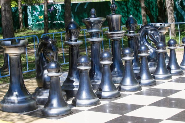 2,800+ Big Chess Stock Photos, Pictures & Royalty-Free Images - iStock
