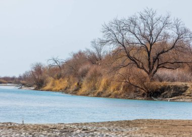 nehir son buz. Son buz parçası. son buz Ili Nehri üzerinde iğne. Orta Asya, Kazakistan bozkırlarında