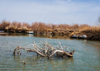 nehir son buz. Son buz parçası. son buz Ili Nehri üzerinde iğne. Orta Asya, Kazakistan bozkırlarında