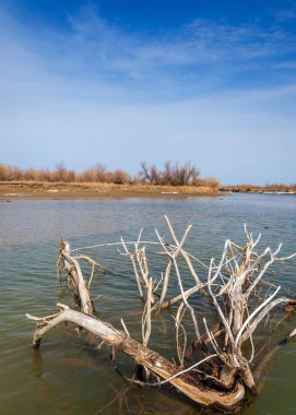nehir son buz. Son buz parçası. son buz Ili Nehri üzerinde iğne. Orta Asya, Kazakistan bozkırlarında